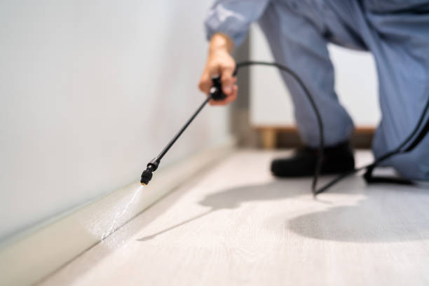 Licensed Fumigation Services service in Asotin County County, WA - Nex Pest Control